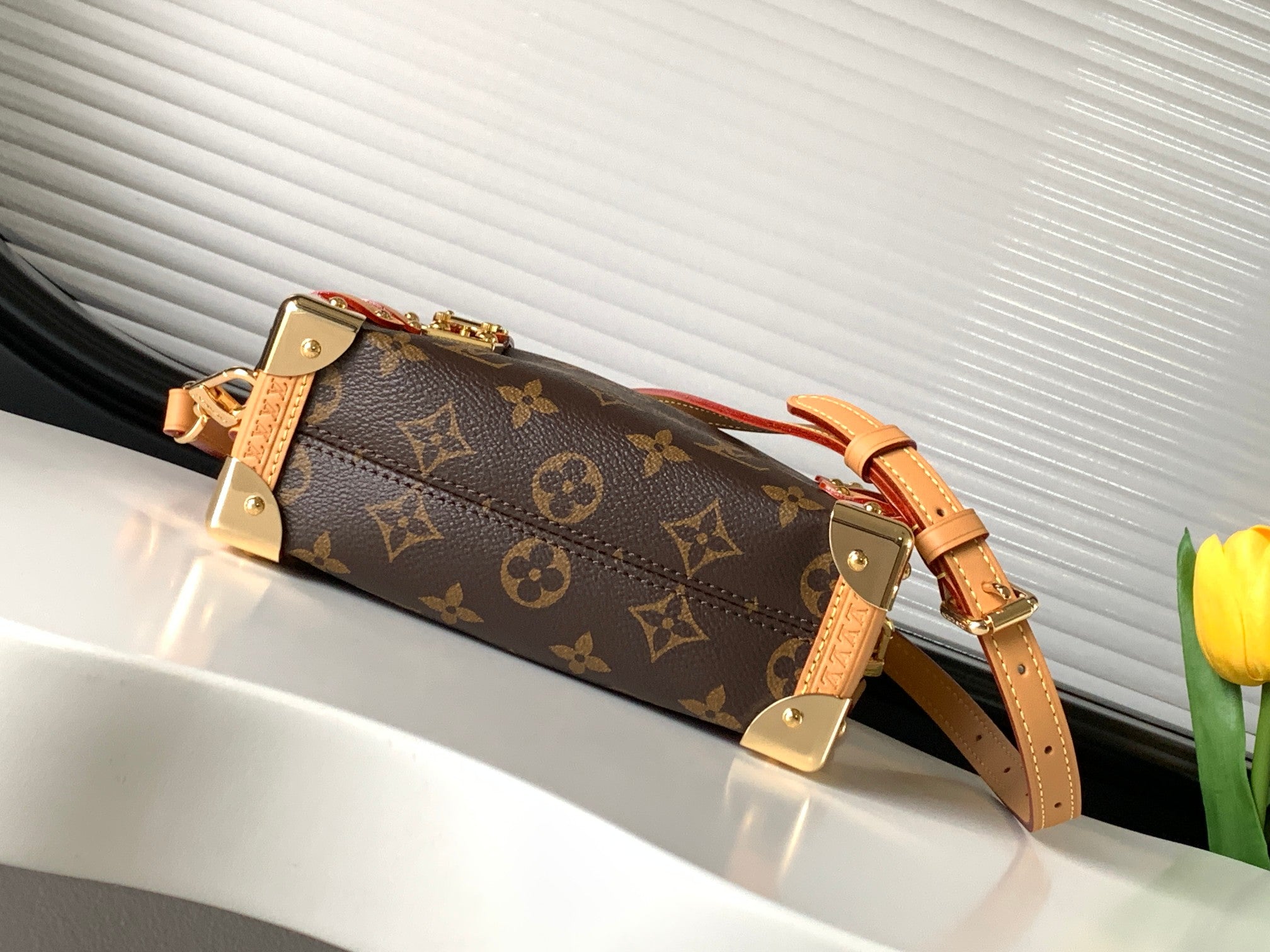 LV Luxury Element The Hottest Shoulder Bag of 2023 Spring: Inspired by Travel Trunks LV009