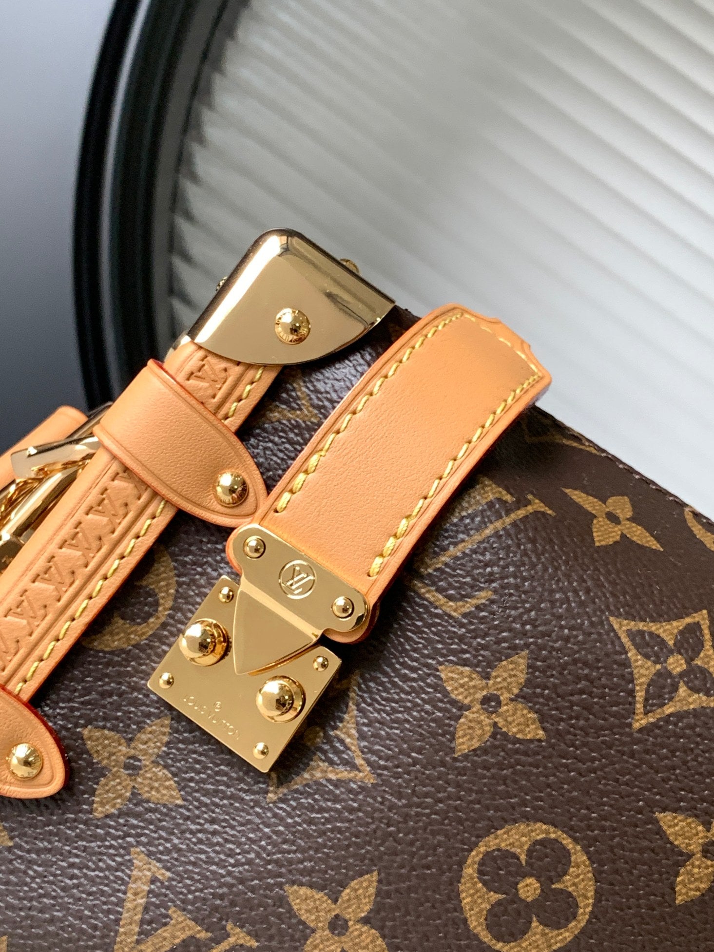 LV Luxury Element The Hottest Shoulder Bag of 2023 Spring: Inspired by Travel Trunks LV009