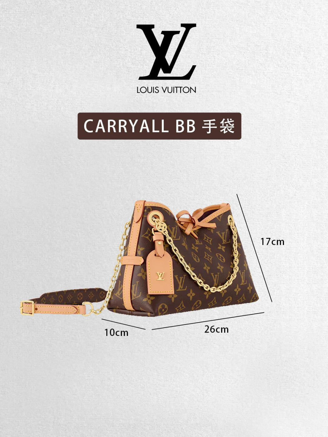 LV Luxury Element The Carryall BB: A Chic and Functional Handbag for the Modern Lifestyle LV012