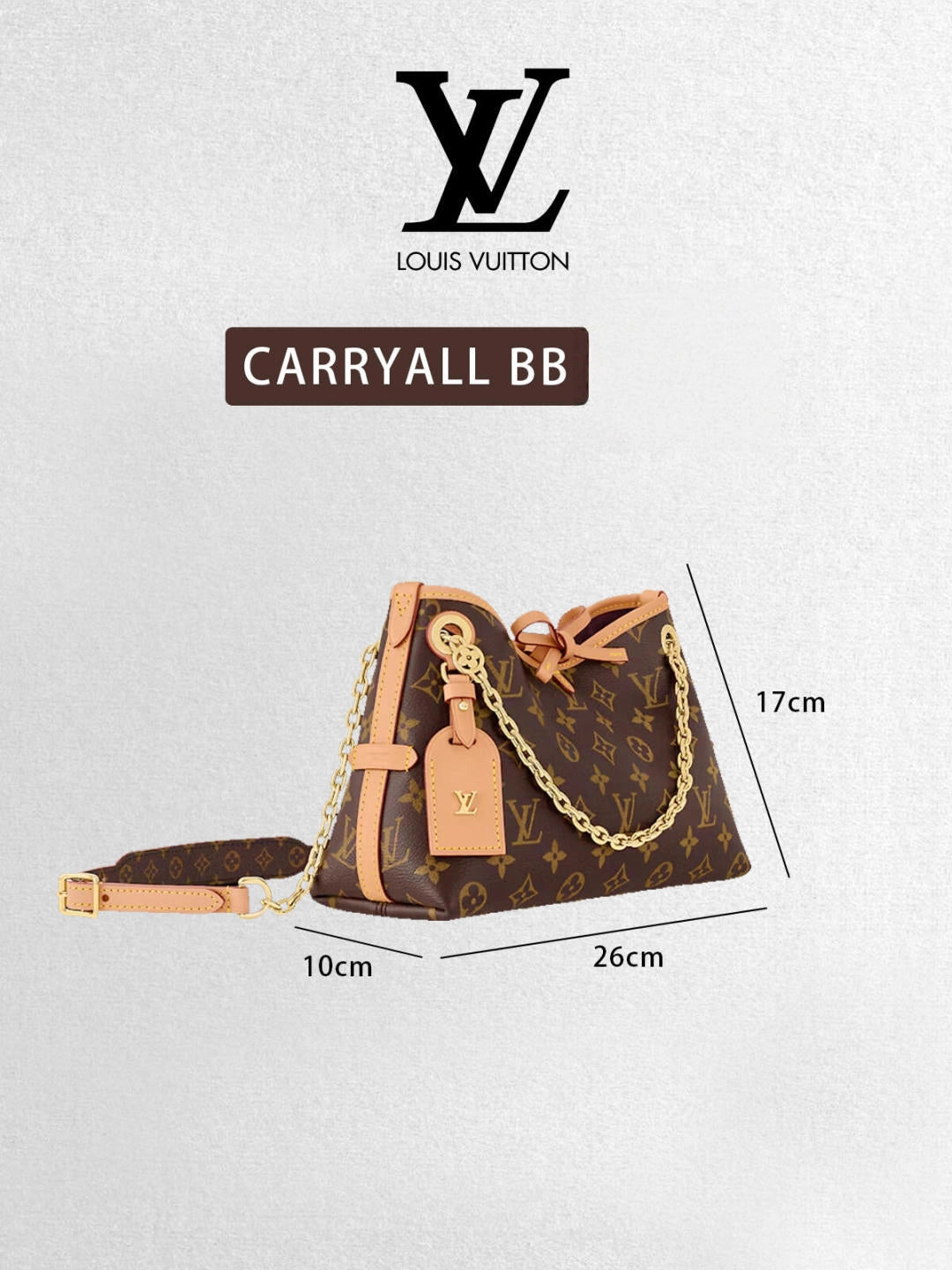LV Luxury Element The Carryall BB: A Chic and Functional Handbag for the Modern Lifestyle LV012