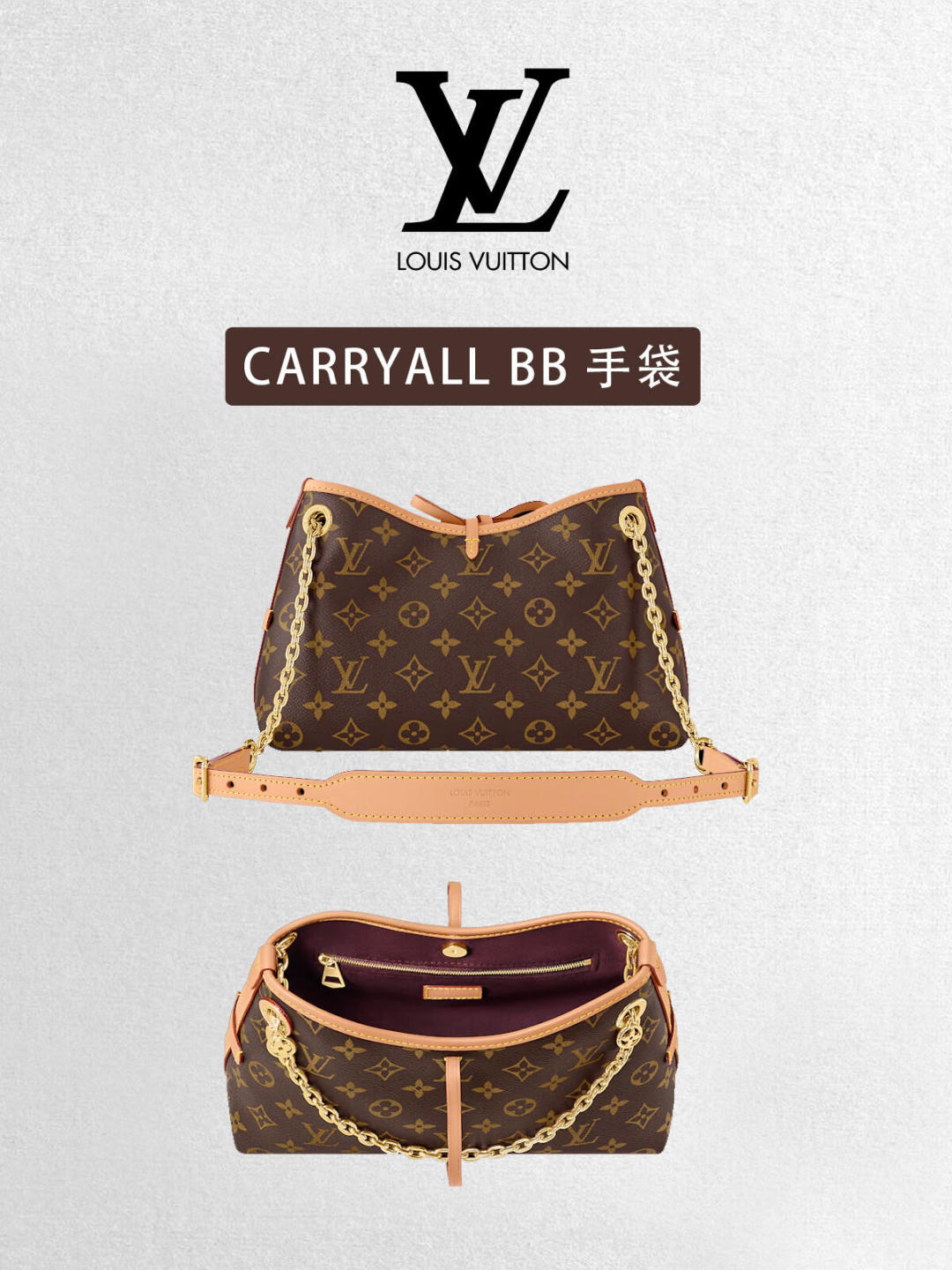LV Luxury Element The Carryall BB: A Chic and Functional Handbag for the Modern Lifestyle LV012