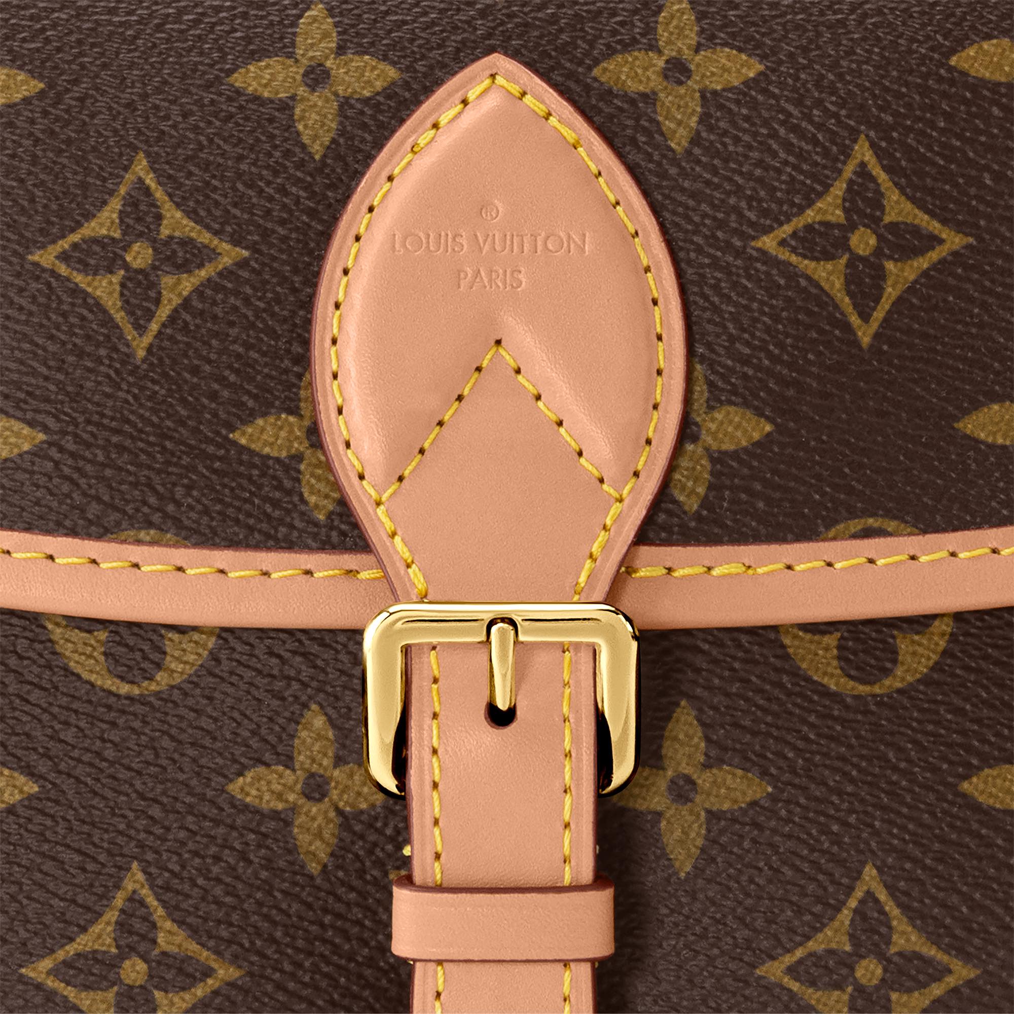 LV Luxury Element Diane Monogram Bag: Vintage Charm Meets Modern Utility LV016