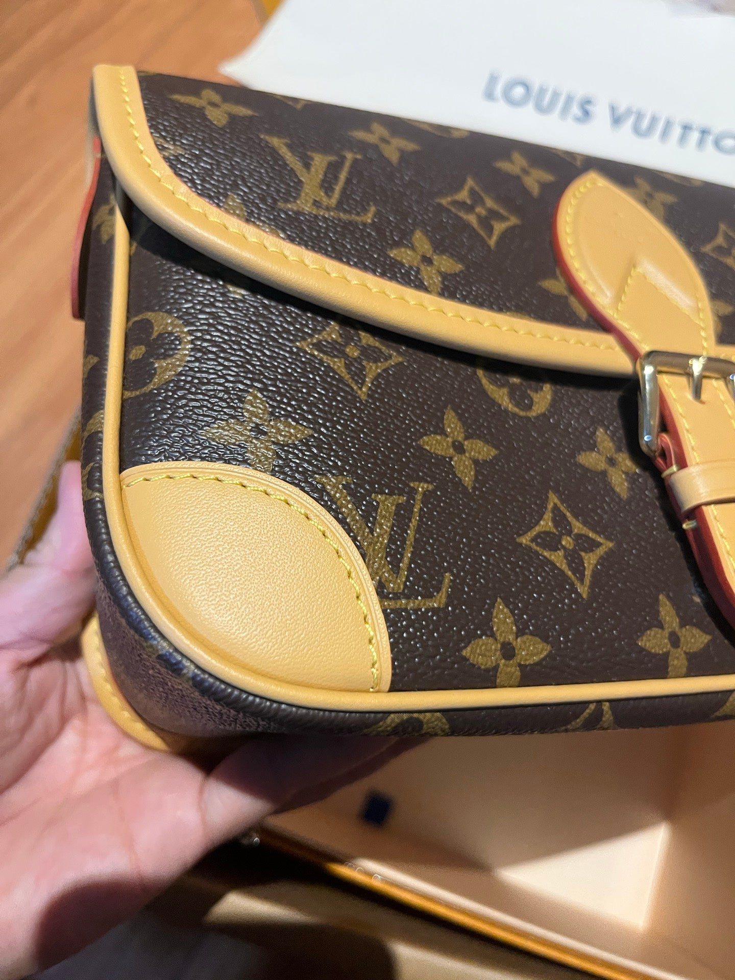 LV Luxury Element Diane Monogram Bag: Vintage Charm Meets Modern Utility LV016